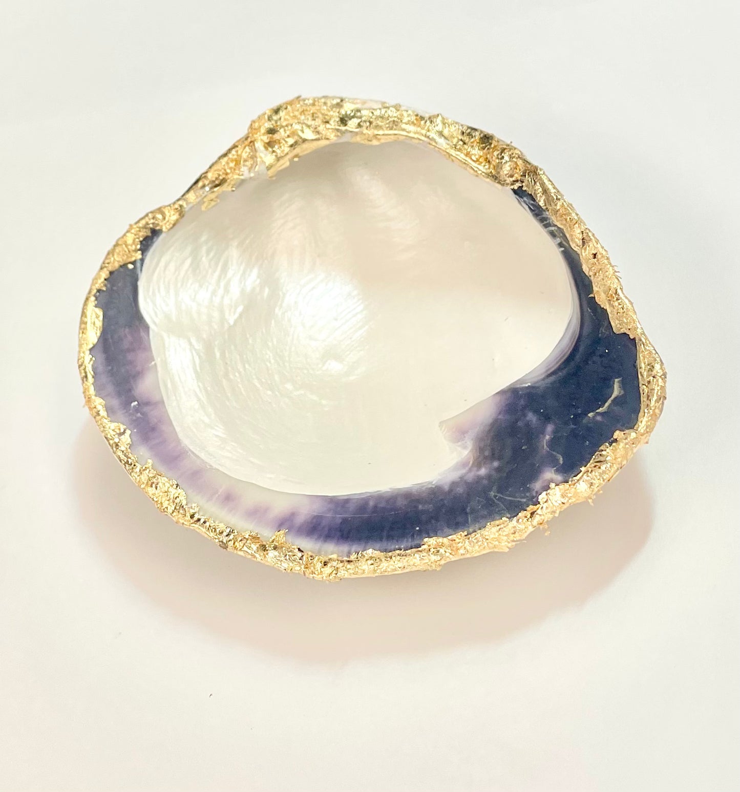 Quahog Shell Ring Dish