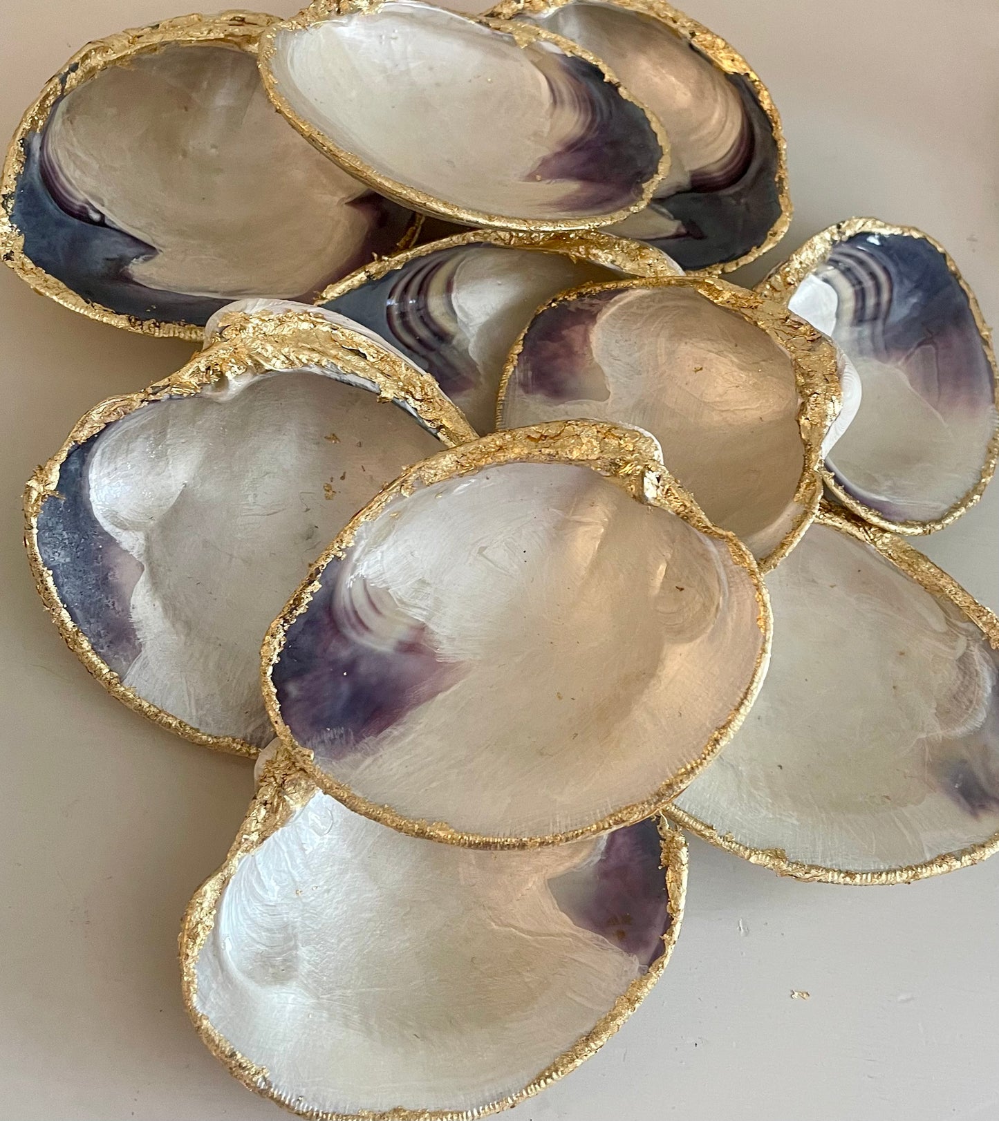 Quahog Shell Ring/Trinket/Soap Dish