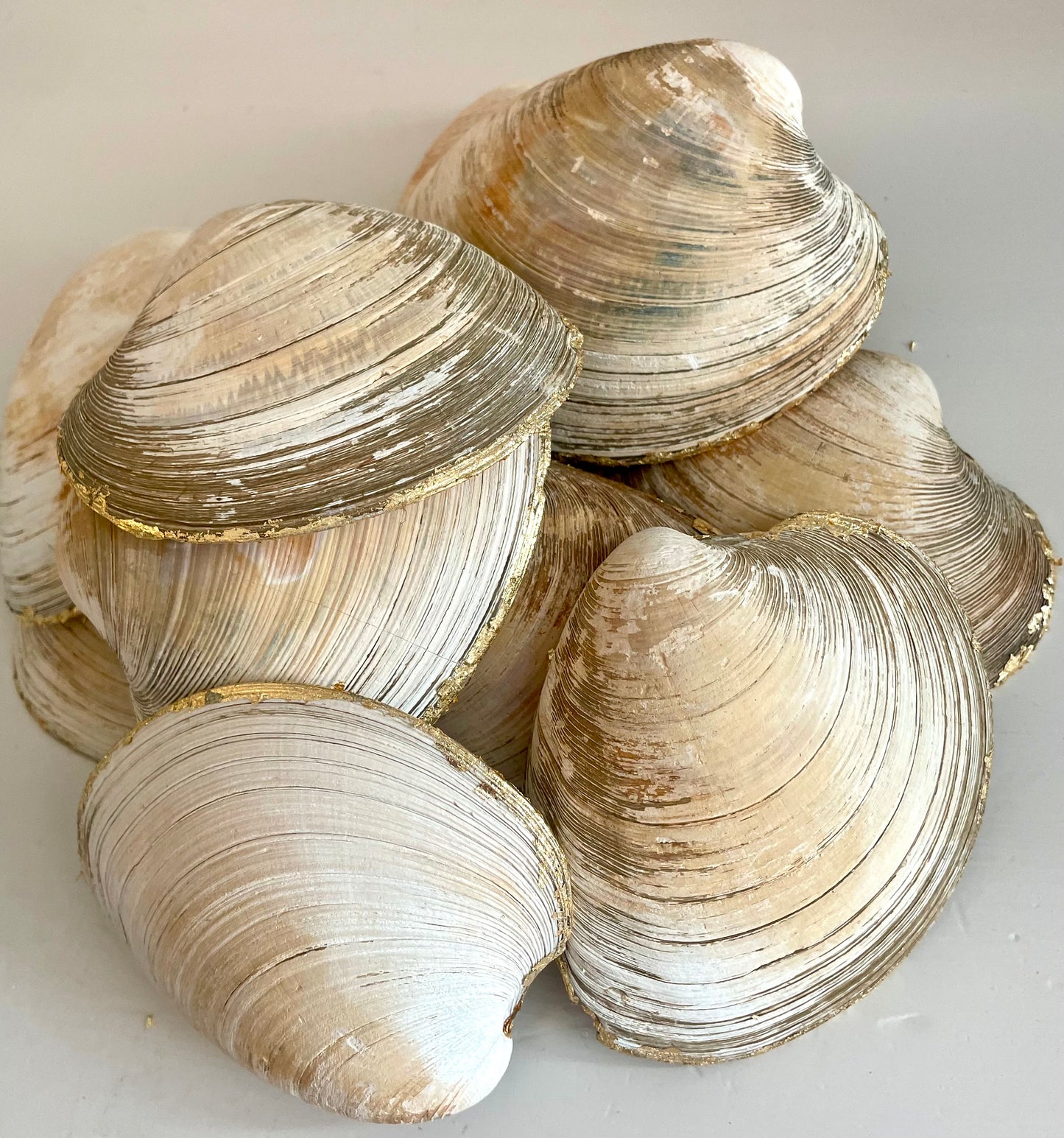 Quahog Shell Ring/Trinket/Soap Dish