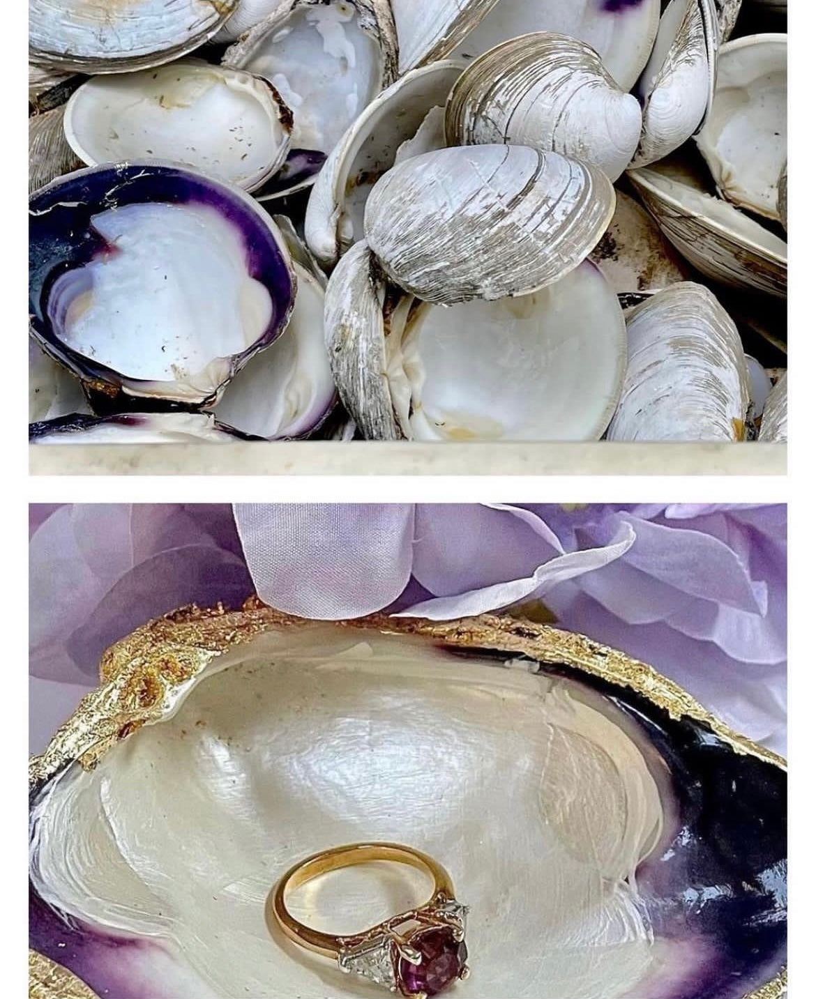 Quahog Ring Dishes